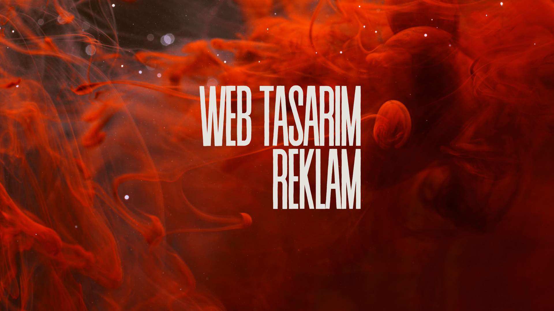 Kurumsal Web Tasarım Projesi YENİ